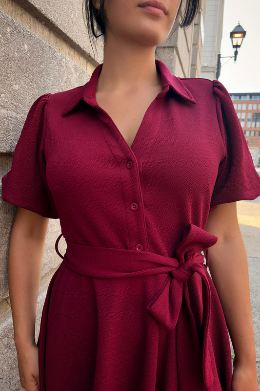 Coralie Women's Knit Fit-and-Flare Shirt Dress Tie Waist Bell Sleeves