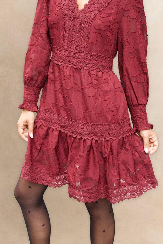 Edith Floral Lace Boho Mini Dress Long Sleeves V-Neck Detailing