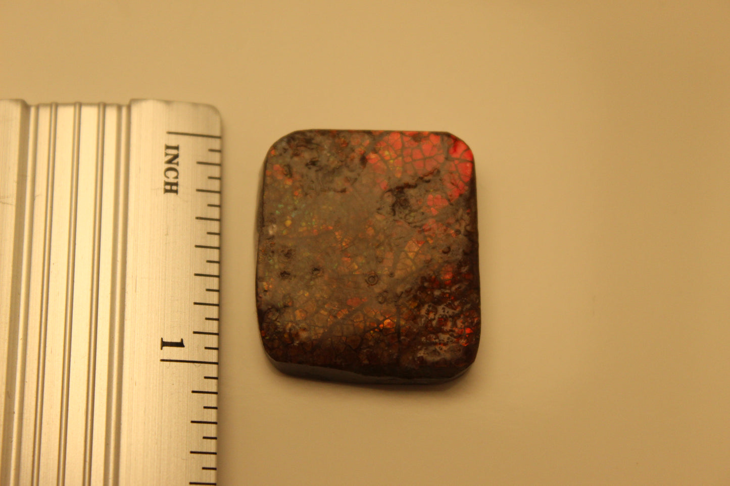 Elena White Eyelet Midi Dress